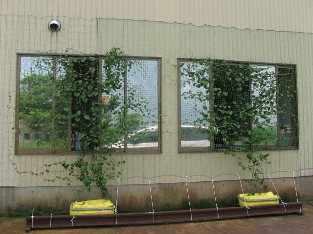 2010.7.10.JPG