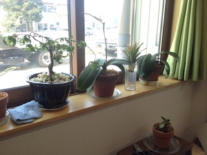 写真 2015-04-30 11 38 27.jpg