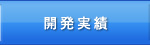 開発実績